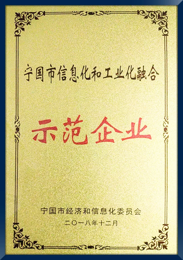 宁国市两化融合示范企业